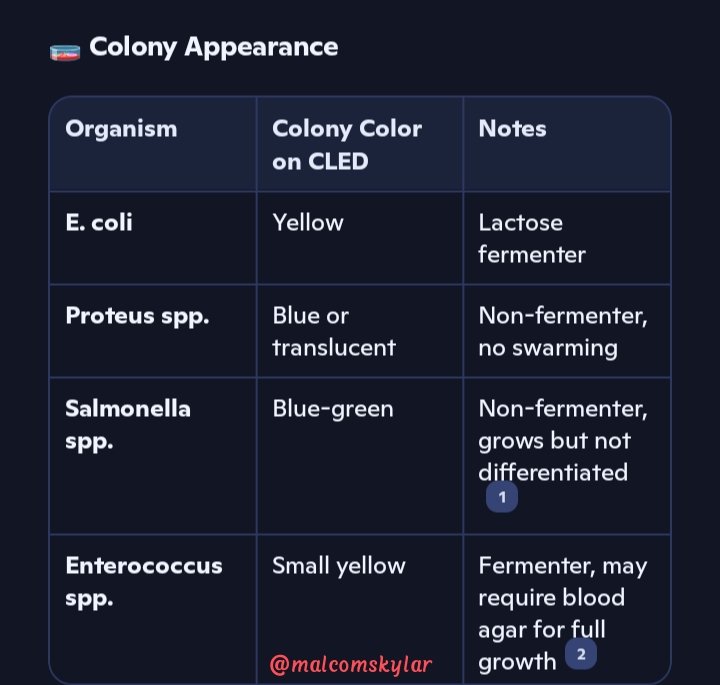 Malcomskylar's tweet image. 🧫 #CLED #Agar
Non-selective, differential medium used for:
  - Isolation and enumeration of #urinary #pathogens
  - Differentiation of #lactose fermenters vs non-fermenters
- Designed to prevent #swarming of #Proteus spp. by omitting electrolytes
#malcomskylar #microbiology