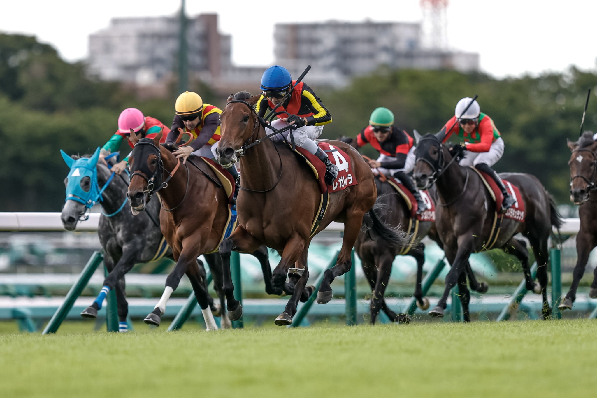 ダノンデサイル　戸崎圭太　ホースレーシングカード　世界限定　専用のケース台座付 ダノンデサイル 戸崎圭太 ホースレーシングカード 世界限定 専用