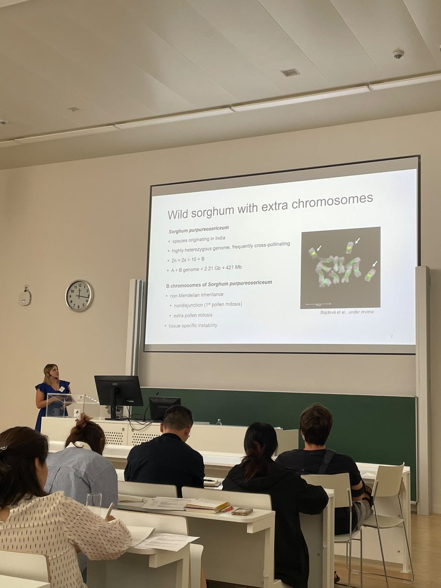 Plant B chromosome biology research group (IEB) tweet media