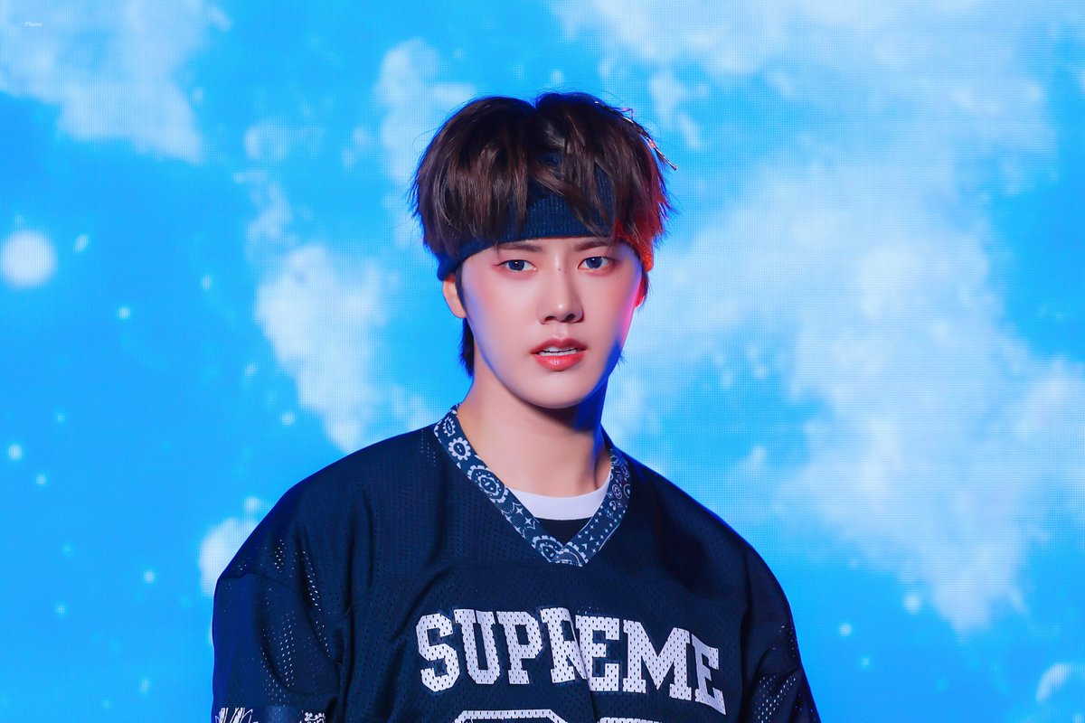 𝑷𝒍𝒖𝒎𝒆 ． tweet media