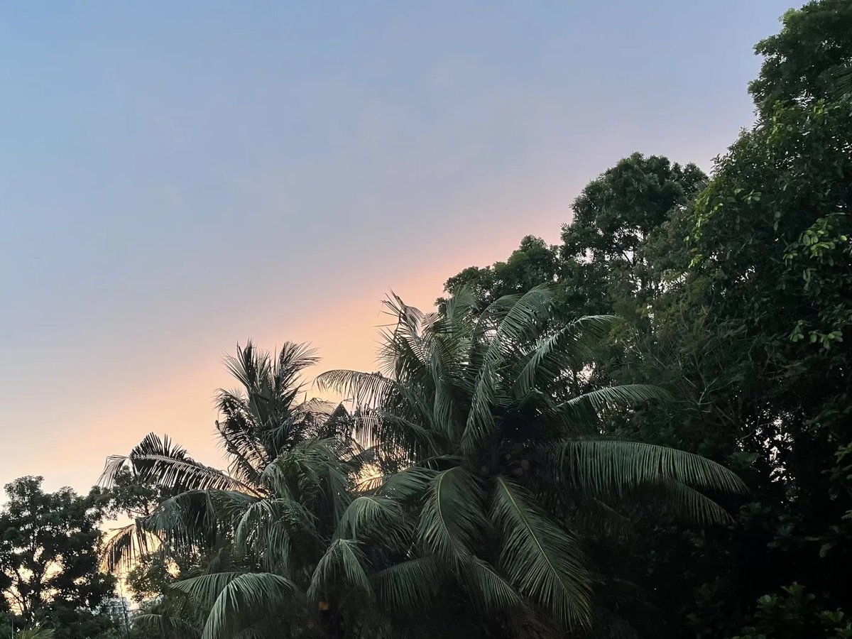 Pullin’ up with the <a href="/web3_events/">Web3 Events ✨</a> KOL strike squad at #Token2049 🇸🇬

Gonna be reppin’ <a href="/ApexFusion/">Apex Fusion</a> and vibin’ on their wild vision 🪩

Who’s around? ✨