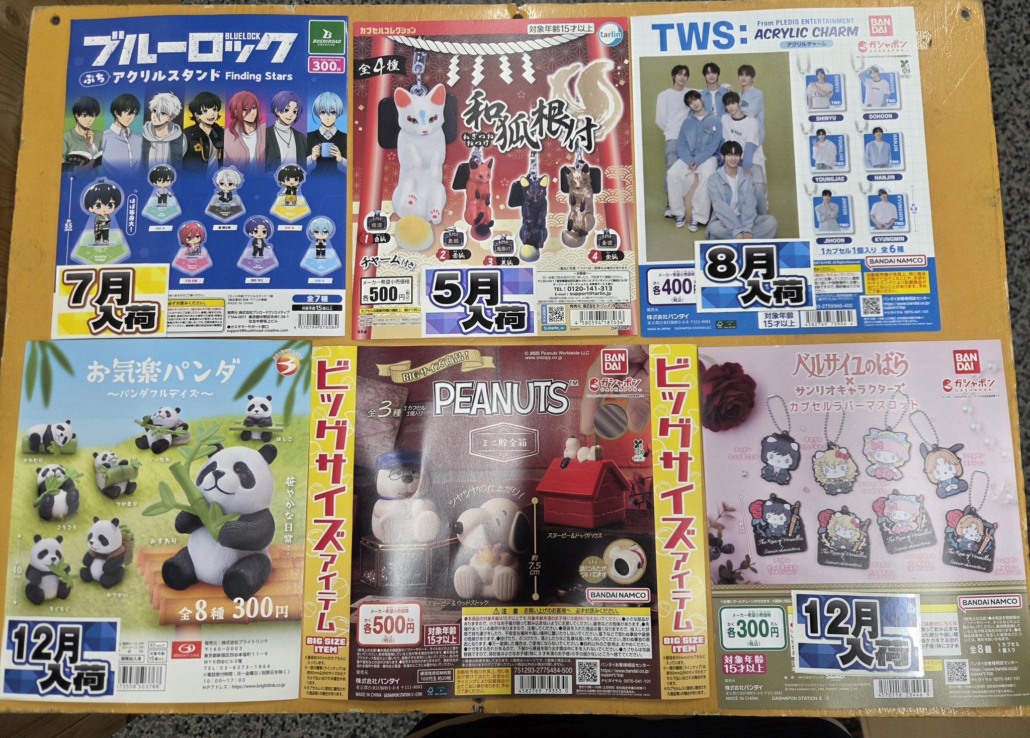 【売り切れました】AAA展 ガチャ 自動販売機に生まれ変わった俺は迷宮を彷徨う - シュイ BIG