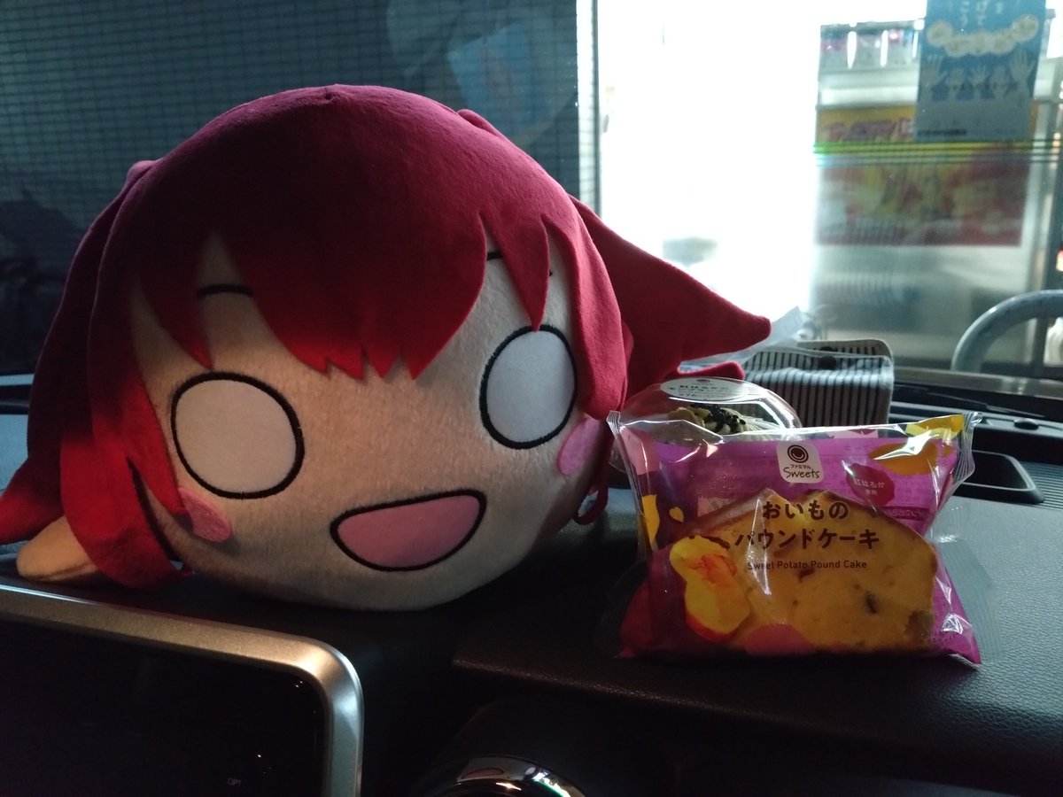 帰宅。エキサイト激務で大幅に遅延…
とりあえず遅くなったがルビィちゃんにバースデースイーツのプレゼント。
🍭「嬉しいなあ♪」