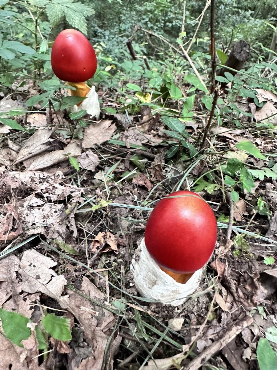 久しぶりの自転車通勤してたら秋を感じれた