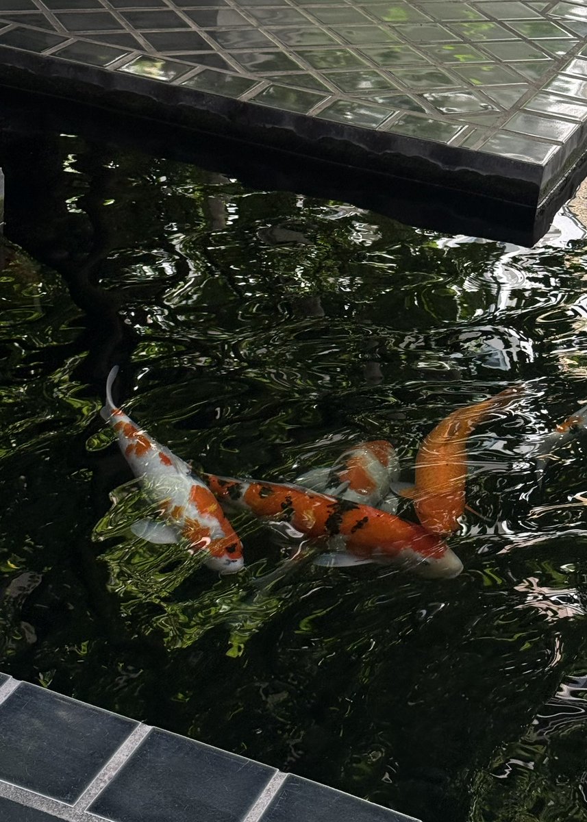 ก็ต้องแวะ <a href="/ziraspacnx/">Zira Spa Chiang Mai</a> ก่อนกลับกรุงเทพทุกรอบ ผ่อนคลายสบายตัว ให้เป็นสปาเบอร์ 1 ของเชียงใหม่ 🧖🏻✨