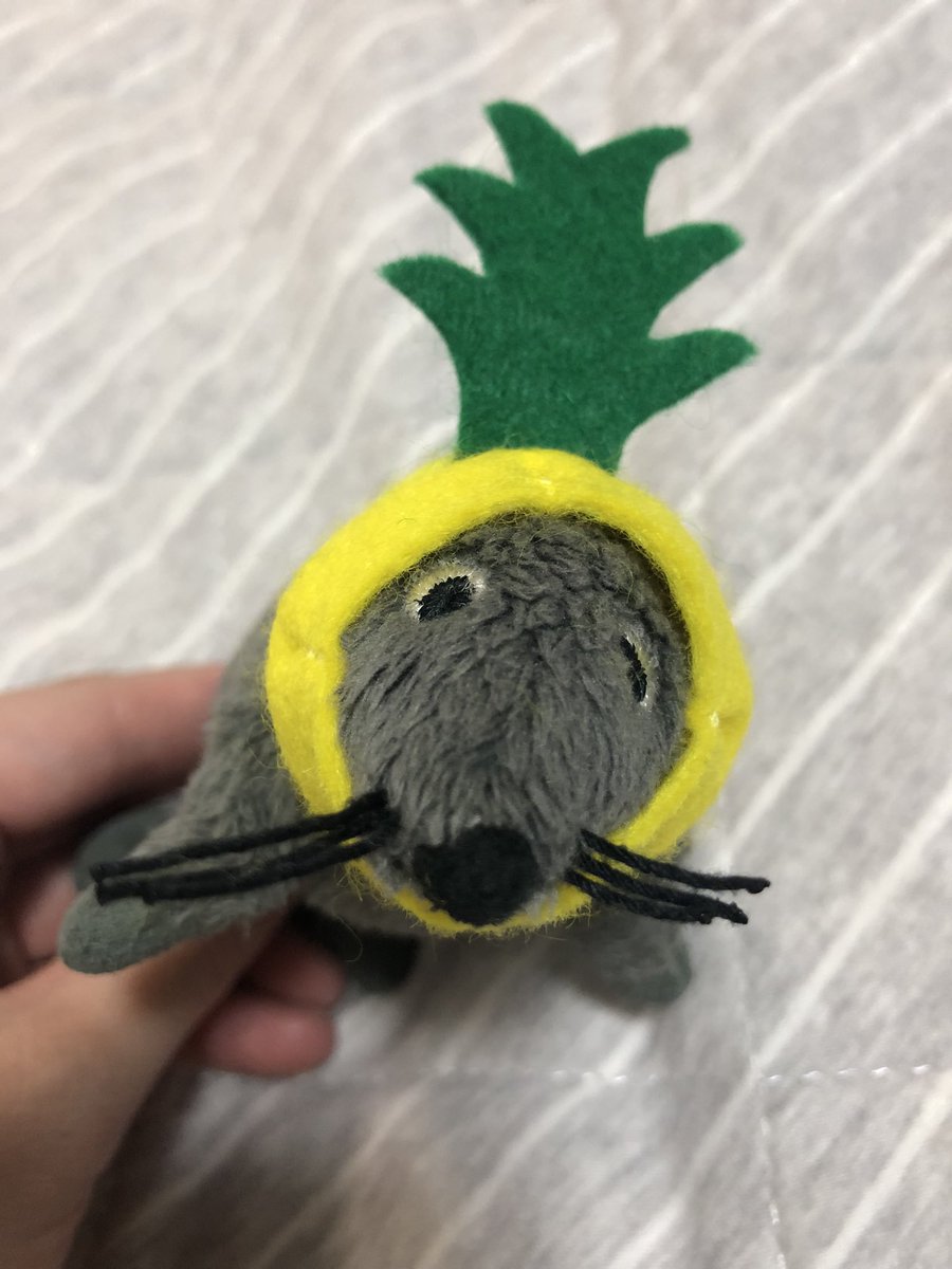 パイナポー🍍