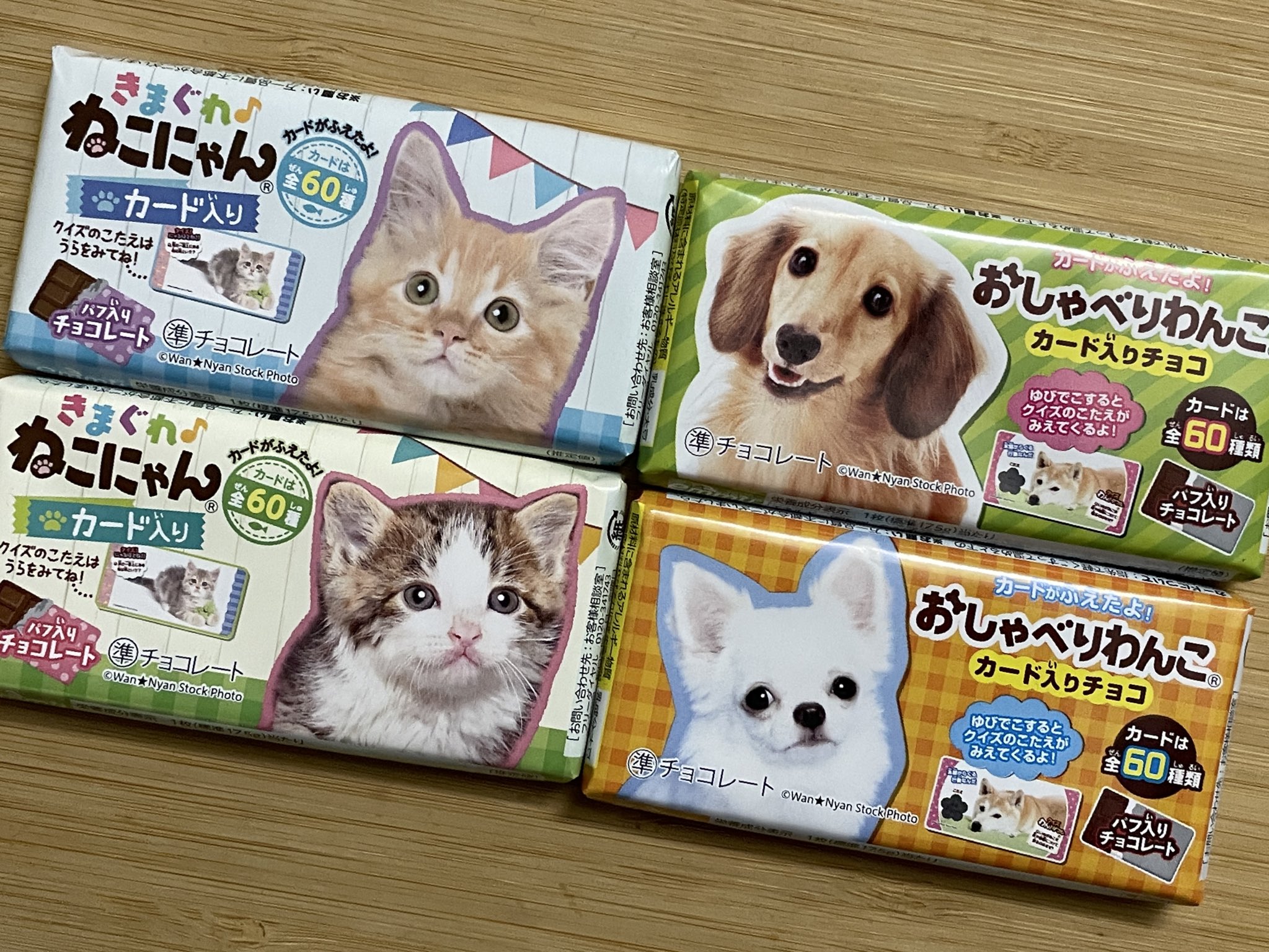 まだ何も決まってない【公式】 on X: 