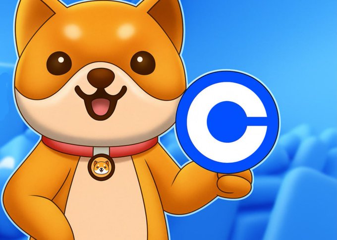 BabyDogeDaily's tweet photo. 🚀🐶 #BabyDogeCoin is already live on the @base chain! 🔗@coinbase LIST #BabyDoge, our amazing community deserves it, and let’s moon together! 🌕 #BabyDogeArmy https://t.co/JgqetnWPk7
