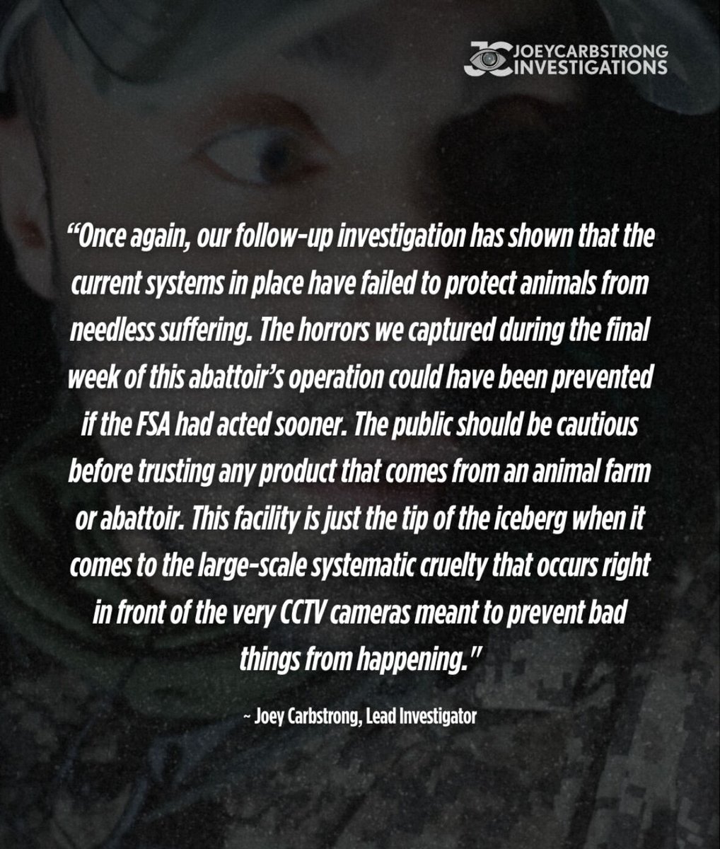 Who has seen our latest investigation where we revisited the infamous halal slaughterhouse we exposed earlier this year? If you haven’t seen it yet, both new non-graphic and graphic versions are available now on my youtube channel @ Joey Carbstrong.
