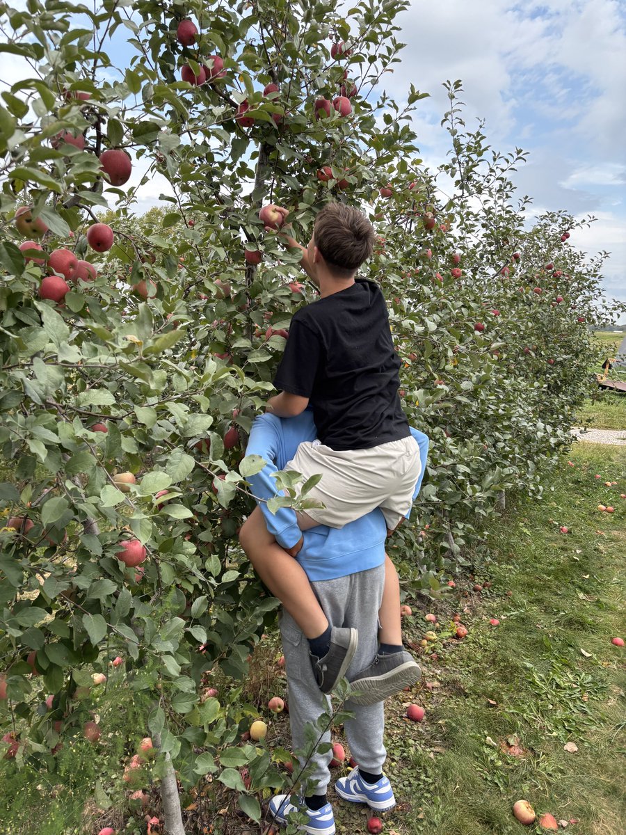 KeystoneFcs's tweet image. Annual apple picking field trip 🍏🍎