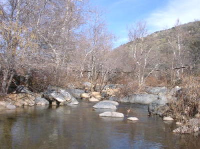 riverridgeranch's tweet photo. River Ridge on tv? What? - Is River Ridge ready for prime time?
Guess so:
check out our segment on From Scratch, a documentary on food, ecology, sustainability starring actor, writer, producer
David Moscow:

https://t.co/Pd7tl79d6I https://t.co/kQPHrgWjvt
