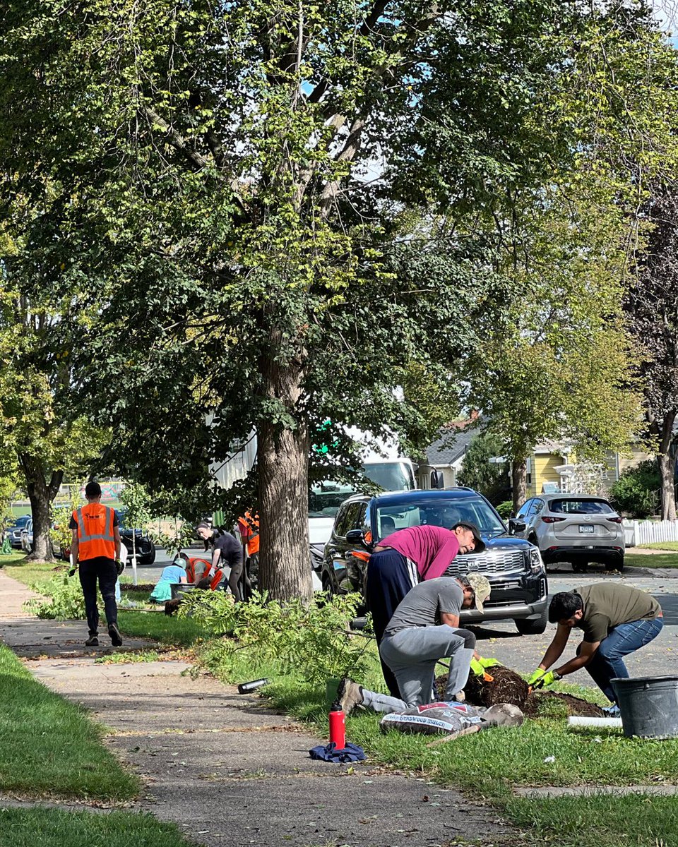 TreeTrust's tweet image. 🌳 Community + Volunteers + Trees = A greener South St. Paul!
When neighbors asked for more boulevard trees, volunteers answered 💪 Together, we planted a diverse mix to replace ash lost to EAB—bringing shade, beauty & resilience back to our streets.
Thank you, volunteers!