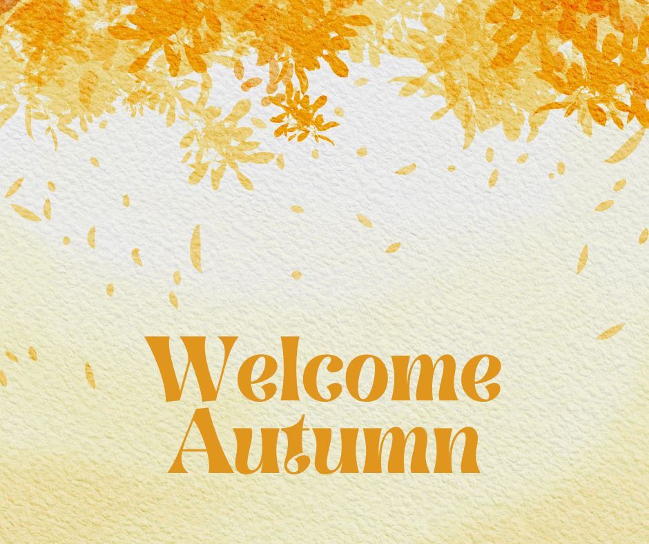 Fall has arrived! RedZeppelinPizza.com #fall #autumn #weather #pizza #beer #food #foodie #love #instafood #pizzatime #pizzeria #pizzalover #foodlover #pasta #like #dinner #pizzas #italy #foodstagram #yummy #lunch #batonrouge