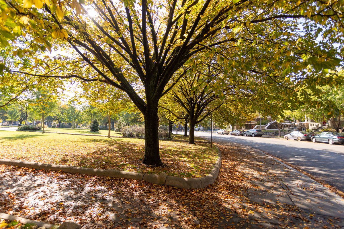 Today is the autumnal equinox, or the first day of fall! What is your favorite thing to do in <a href="/RockCreekNPS/">Rock Creek Park</a> in the fall? What is your go-to location in the park to see fall foliage?

📸1: Fort Slocum
📸2: Boulder Bridge
📸3: Beach Drive
📸4: Grant Circle
(photos from Oct 2022)