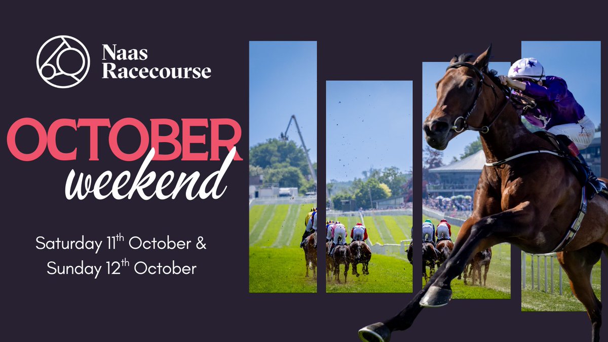 NaasRacecourse's tweet photo. October weekends are made for racing!🍂🐎
Get set for two thrilling race days at Naas Racecourse on Saturday 11th and Sunday 12th for our October Weekend!🤩
🎟️Don’t miss out - grab your early bird tickets and SAVE €5: https://t.co/KXLV7ebNiZ
#NaasRC #OctoberWeekend https://t.co/lLbqX7rFPA