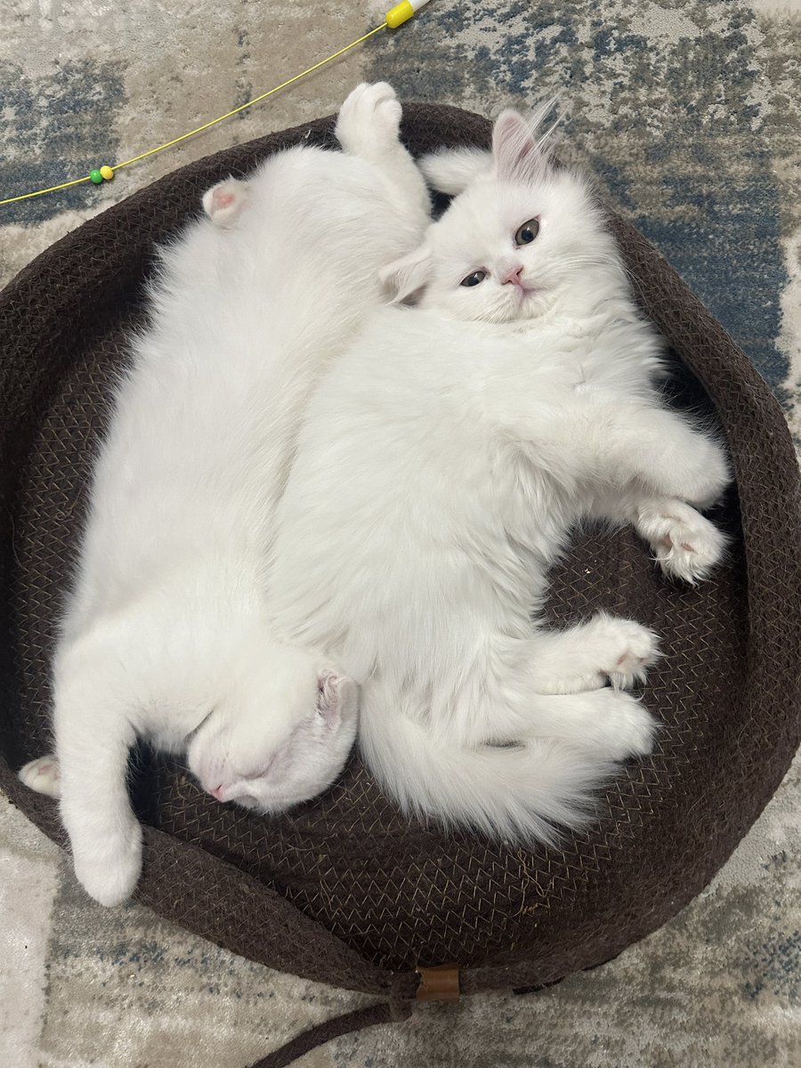 Kışın sobalı evde oturma odasında ailecek yattığımız sırada tek kişilik kanepede abimle ben