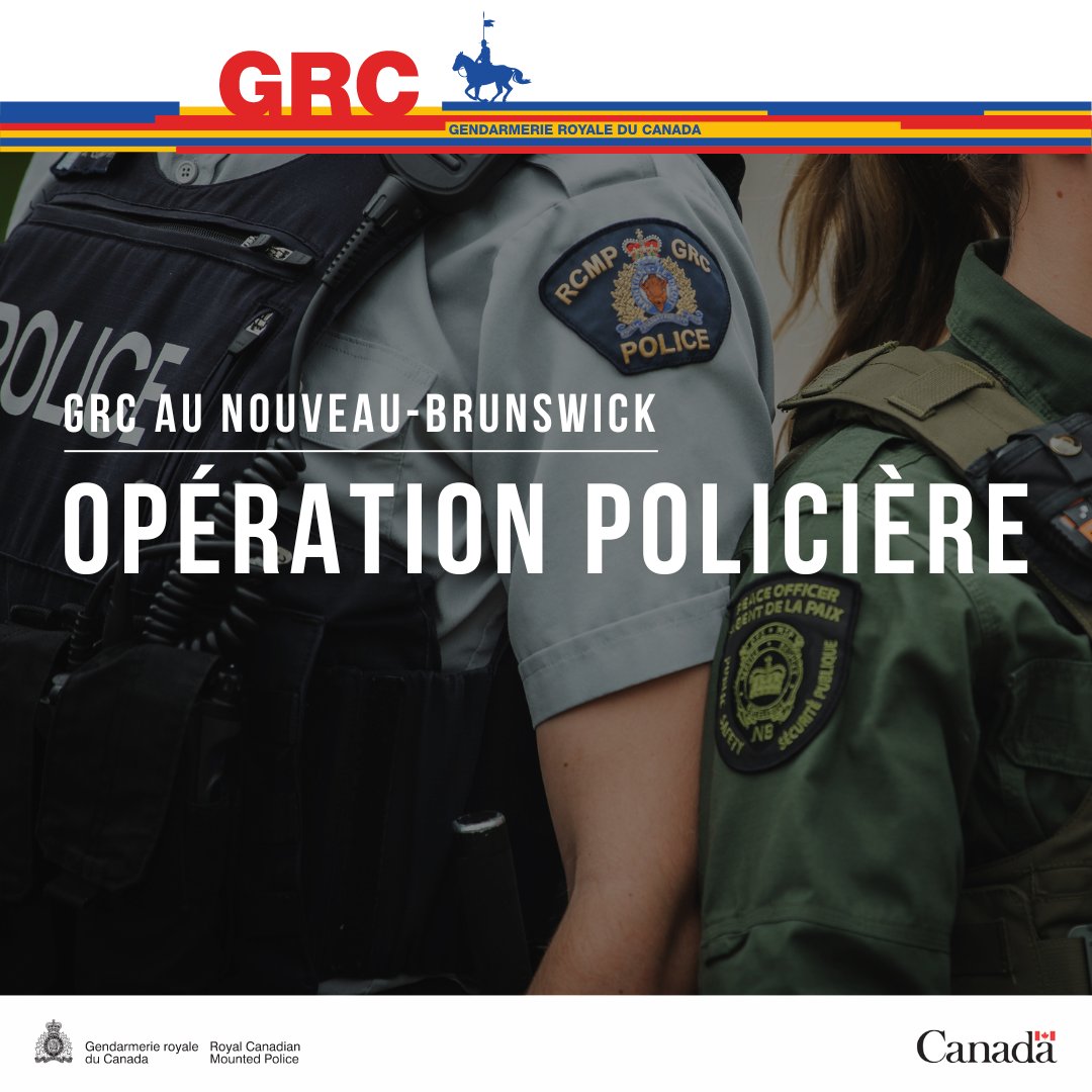 Le Service régional de Codiac de la GRC est actuellement sur les lieux d'une opération policière près du bloc 400 de Whitepine Road à Riverview. Nous demandons au public d'éviter le secteur. Une mise à jour sera publiée dès que possible. Merci de votre coopération.