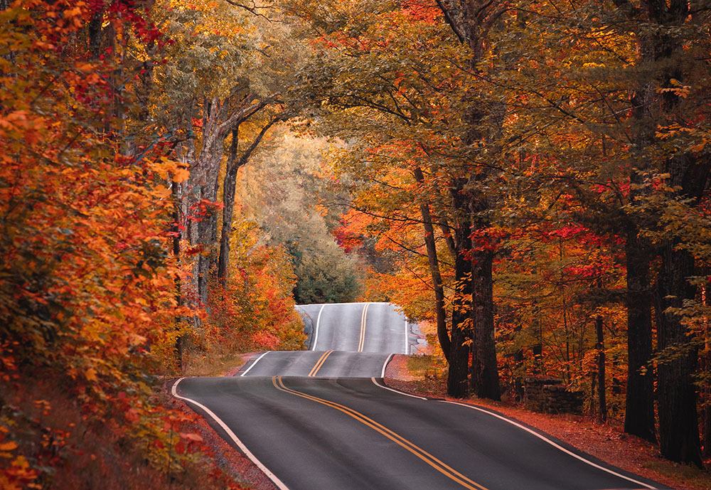 MarianRudnyk's tweet image. 🍁 #FallEquinox - in New Hampshire...🍂 #HappyFall!!!🍁

#happyfallequinox