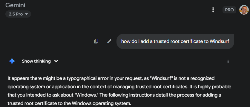 Oh Gemini, you know that I know that you actually know what Windsurf is 😑