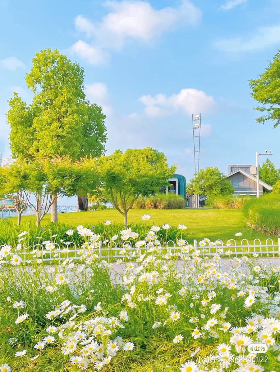 greendreamvibes's tweet image. 