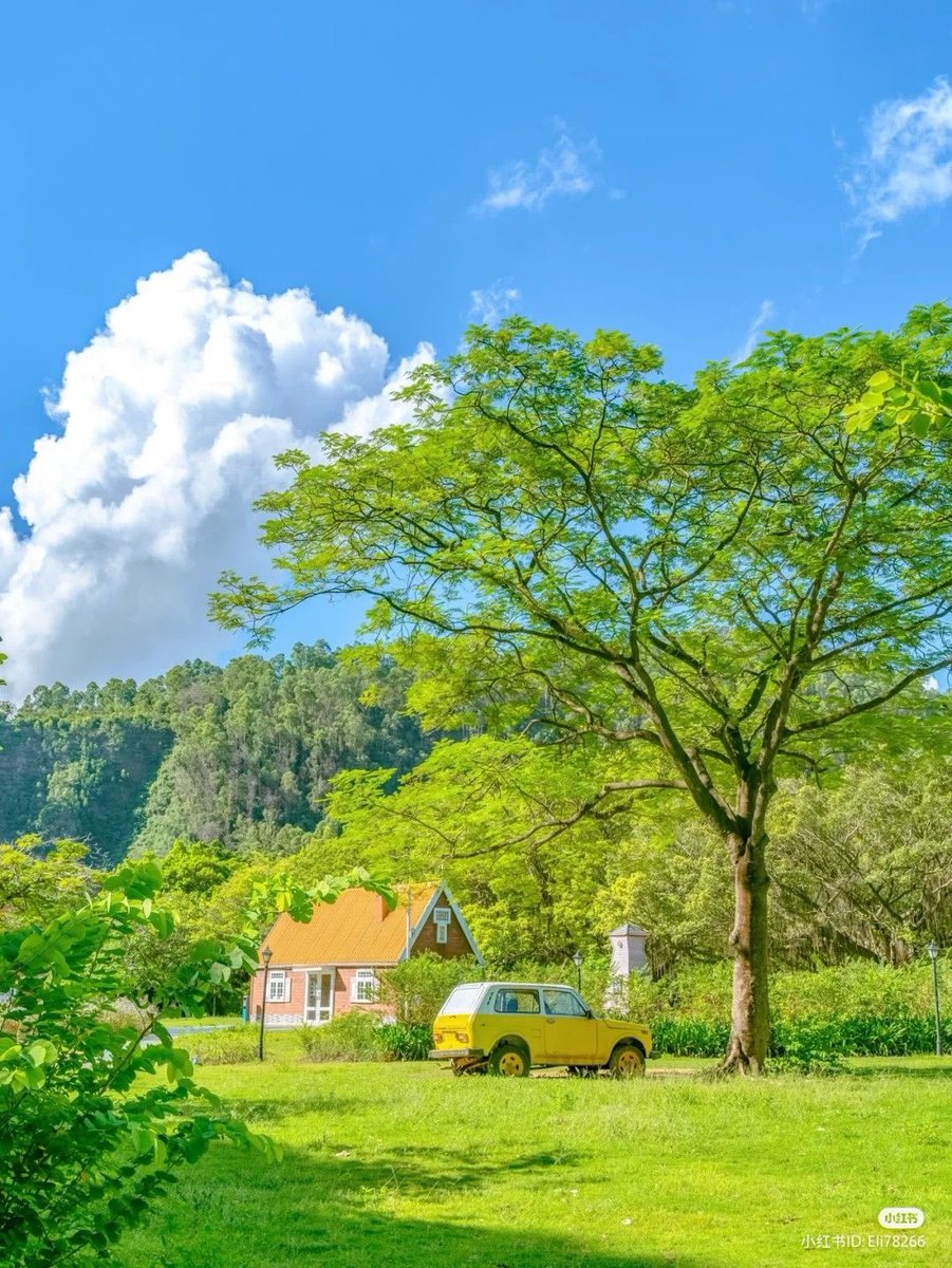 greendreamvibes's tweet image. 