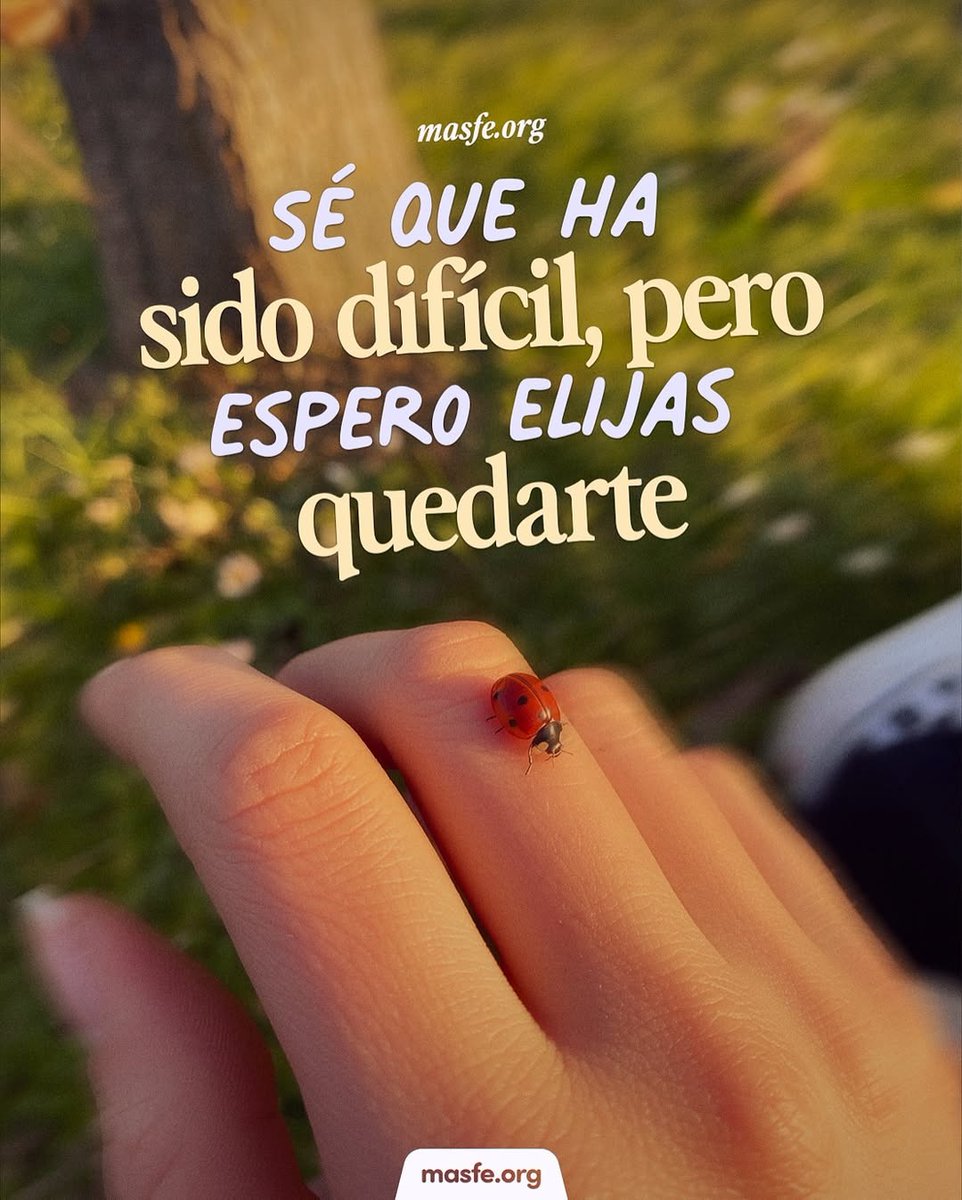 Masfe_org's tweet photo. Sin importan lo que estés pasando, por favor elige quedarte. Todo mejorará 💛
#masfe #mesamarillo #inspiracioncristiana https://t.co/DPzWIZufjG