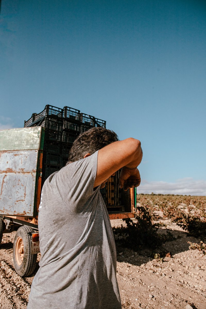 Sudor y calor en un septiembre más duro de lo habitual.
Pero aquí seguimos. Nada nos detiene

#Carchelo #SierradelCarche #Jumilla