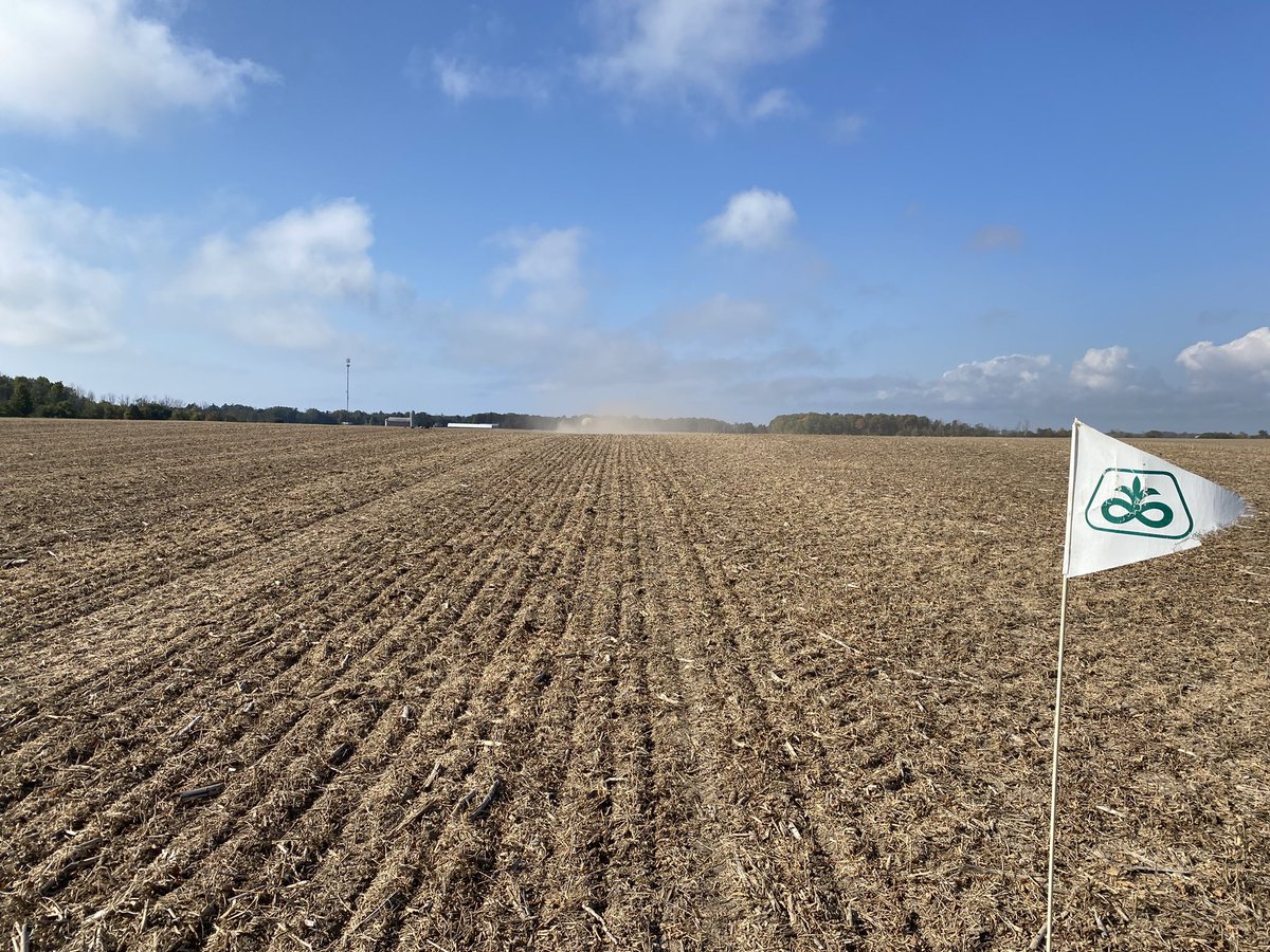 Snuck in a wheat plot before the rain with langcrest farms. Early planting date is winter wheats best friend. <a href="/LukeLangman/">Luke Langman</a> <a href="/PioneerSeedsCA/">Pioneer Seeds Canada</a>