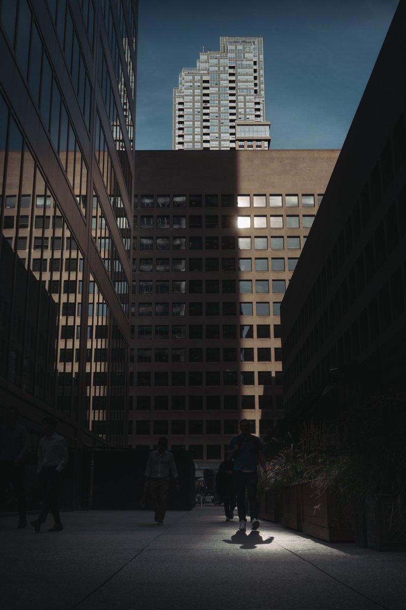 William Self tweet media