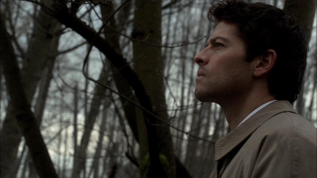pig_in_a's tweet photo. first day of fall... it's officially castiel's season 🍂 https://t.co/hgVWnflqD8