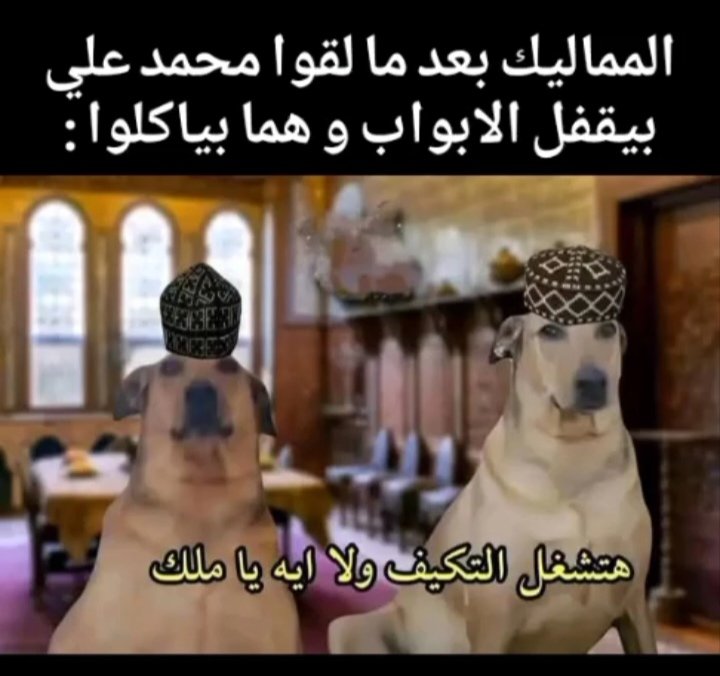 emad008007's tweet photo. @Ibrahim_3eissa https://t.co/Dr4OGTapx2