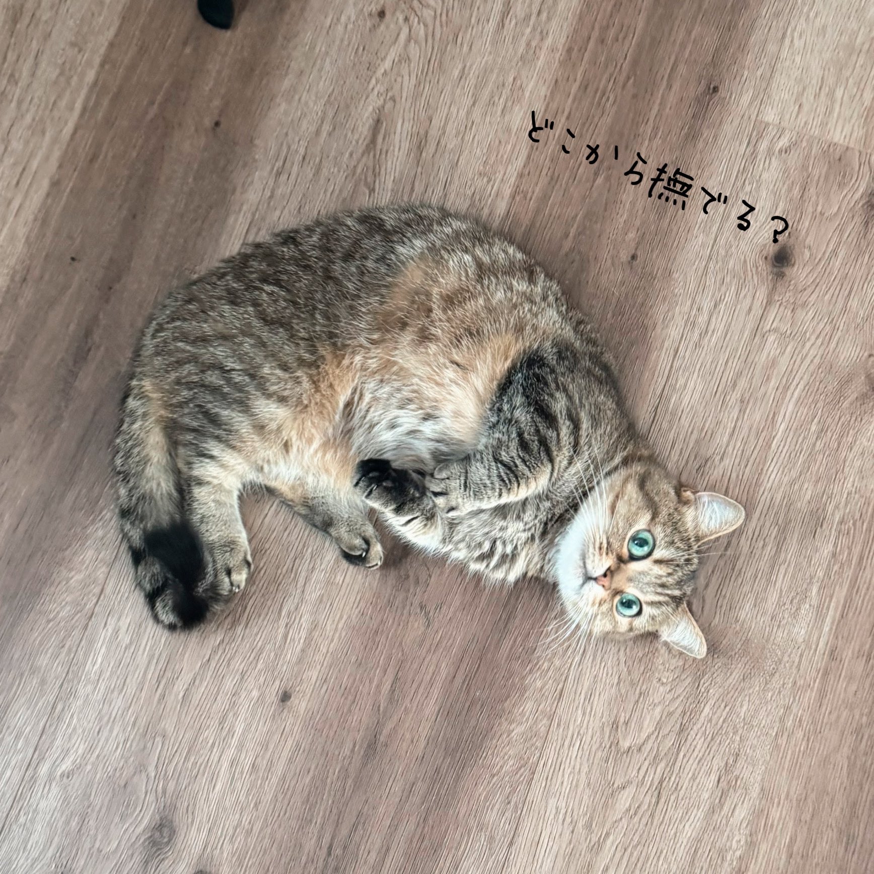 きなこ❣️ セブ最高すぎたー！🖐🏾🌺