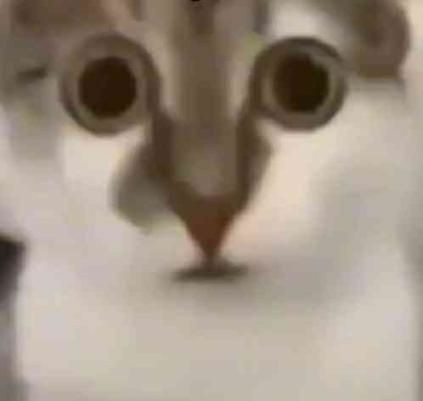 They stole the battery from my scale, as if I wouldn't notice. They didn't even put it back correctly.

I might fast today, my inability to weigh in on my usual day has me really anxious, now.