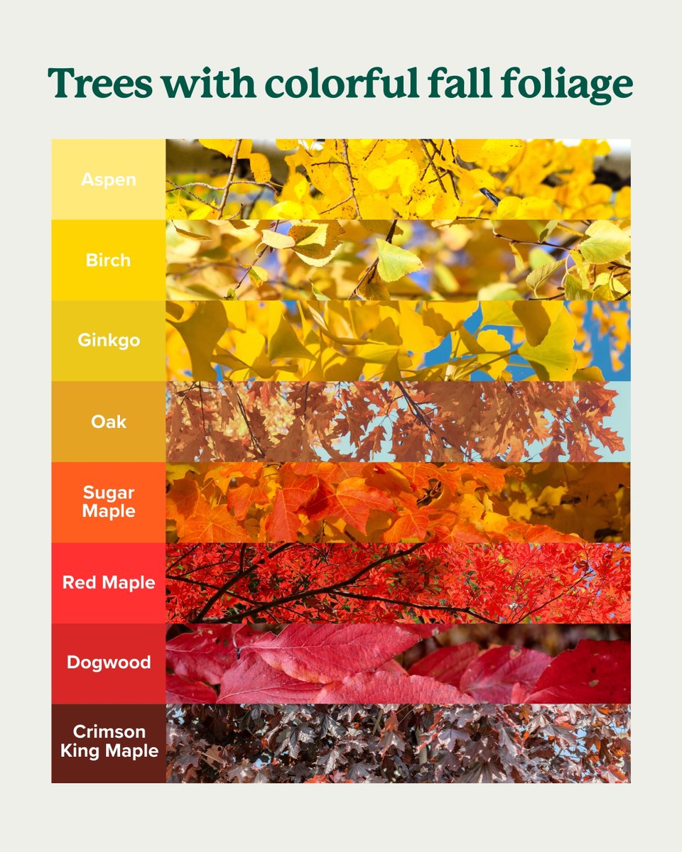 Our favorite color? Autumn. 🎨🍁🍂