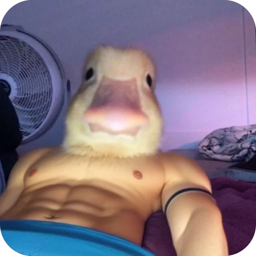 smaltryk's tweet photo. $harold looking sexy there https://t.co/mvRK1SBcYh