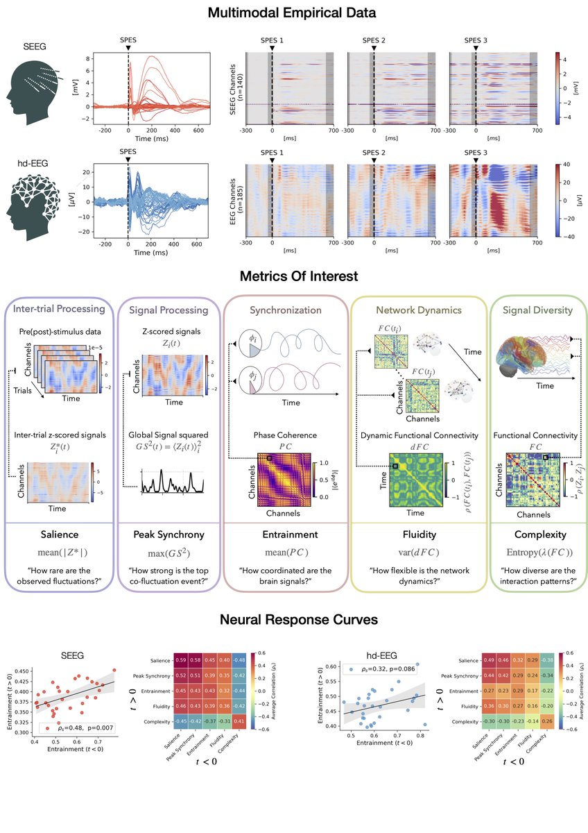 Davide Momi (@davemomi) on Twitter photo Does the brain’s state before stimulation shape its response? 🧠⚡
Check out our latest preprint 👇
biorxiv.org/content/10.110…
w/ <a href="/GRabuffo/">Giovanni Rabuffo</a> <a href="/MariannaAngiol1/">Marianna Angiolelli</a> <a href="/FukaiTomoki/">Tomoki Fukai</a> <a href="/GustavoDeco/">GUSTAVO DECO</a> <a href="/PierpaSorre/">Pierpaolo Sorrentino</a> Does the brain’s state before stimulation shape its response? 🧠⚡
Check out our latest preprint 👇
biorxiv.org/content/10.110…
w/ <a href="/GRabuffo/">Giovanni Rabuffo</a> <a href="/MariannaAngiol1/">Marianna Angiolelli</a> <a href="/FukaiTomoki/">Tomoki Fukai</a> <a href="/GustavoDeco/">GUSTAVO DECO</a> <a href="/PierpaSorre/">Pierpaolo Sorrentino</a>