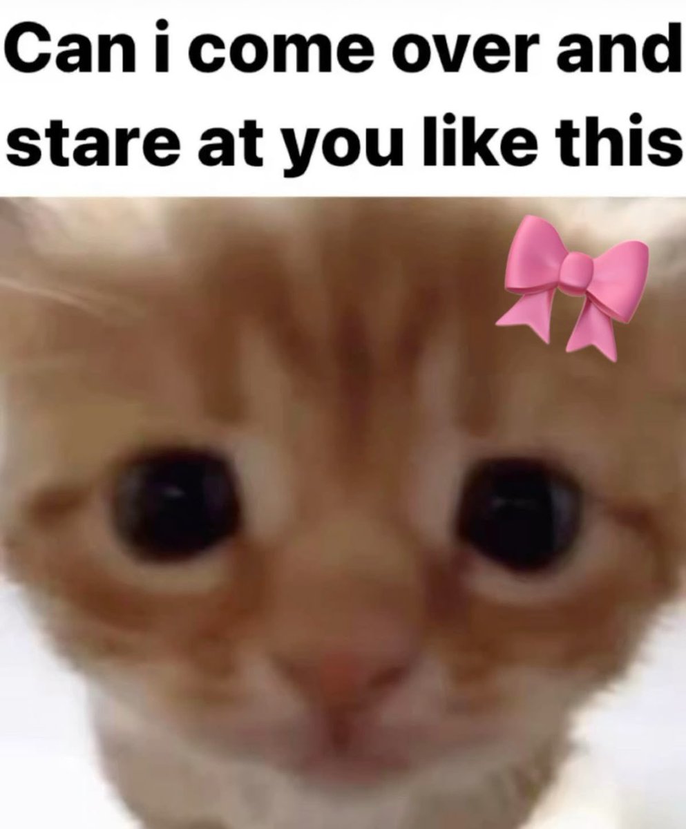 𖥻 · 𝗣𝗔𝗗𝗠𝗘 ˒˒ tweet media