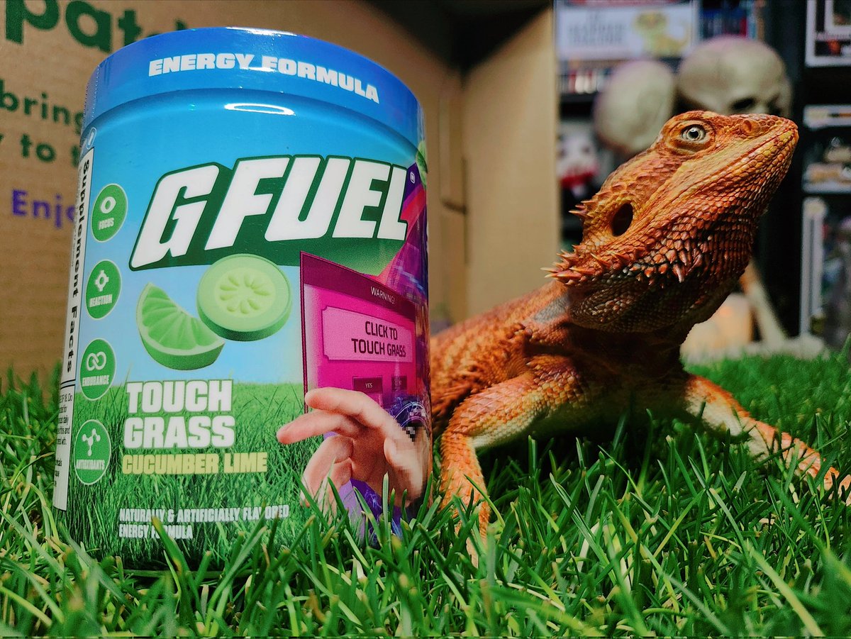 ImDreamWarrior's tweet image. Did @GFuelEnergy and @FreshPatch send me grass to touch? Yes, they did! 🌱

We all gotta get out and touch grass sometimes and be ENERGIZED while doing it! ⚡️

Zuko really liked it, too! 🦎💚

THANK YOU, GFUEL, AND FRESH PATCH! ⚡️🌱

#GFUEL #GFUELpartner #freshpatch