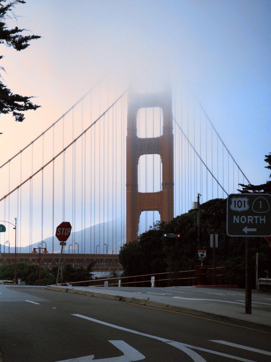 ari dutilh tweet media