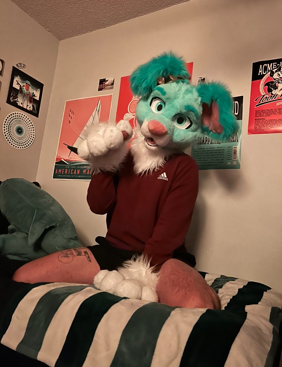 Movie Night? 🍿 

📸: <a href="/Putzfox/">Putz.Fox</a>