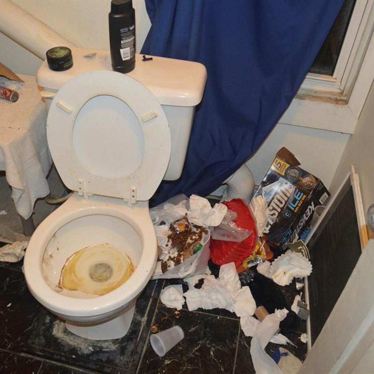 TurdBurrrglar's tweet photo. Me in pic. #gayscat #gaytoilet #toiletpig #trashpig #fratbathroom #toiletfetish #toiletboy https://t.co/IVgsA6Kq94