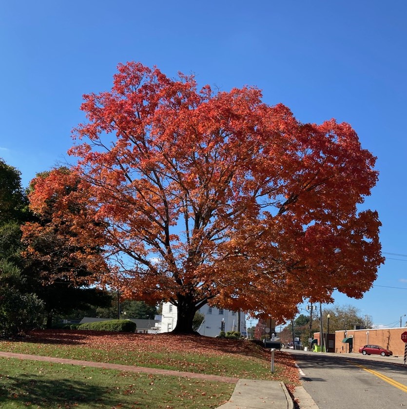 Monday, Sept. 22, marks the autumnal equinox in 2025. 

The First day of Fall. Pray for the USA! ~