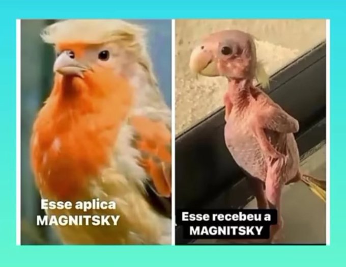 🇧🇷A Direita unida vencerá⤵️

<a href="/Alessan95516275/">Alessandra Da silva</a>
<a href="/AlexEtchechurry/">Alexandre Etchechurry</a>
<a href="/AnaLuizaHolan10/">Ana LuízaⓂ️🔰🇺🇦</a> 
<a href="/araujorobelia/">Robélia Fátima</a>
<a href="/BazingaPhD/">𝑩𝒂𝒛𝒊𝒏𝒈𝒂 𝑷𝒉𝑫 🇧🇷🤝🏼🇸🇦| 😎🚁☭⃠</a>
<a href="/BolsoMaraP/">Mara-vilha 🇧🇷</a>
<a href="/CidaDireita/">Mulher Direita⚡10 5 6 5</a>
<a href="/cunha82193/">Lucas</a>
<a href="/das_azuis36865/">PEREGRINO DAS MONTANHAS AZUIS. ⛰️</a>
<a href="/DivinodosAnjosR/">Divino dos Anjos</a>
<a href="/elianeturismobr/">🇧🇷Eliane F.C.🇧🇷Cristã,casada.JESUS está vindo!</a>
<a href="/enz_paulo38523/">Paulo Enz</a>
<a href="/FabianaFPeres/">🇧🇷Fabi Peres Patriot 🇧🇷</a>
<a href="/FatimaF46328259/">Fatima Fatima</a>
<a href="/Fernandes17781/">Fernandes 🇧🇷🌻</a>
<a href="/genelopes1/">Genevaldo Lopes (Oficial) 🇧🇷</a>