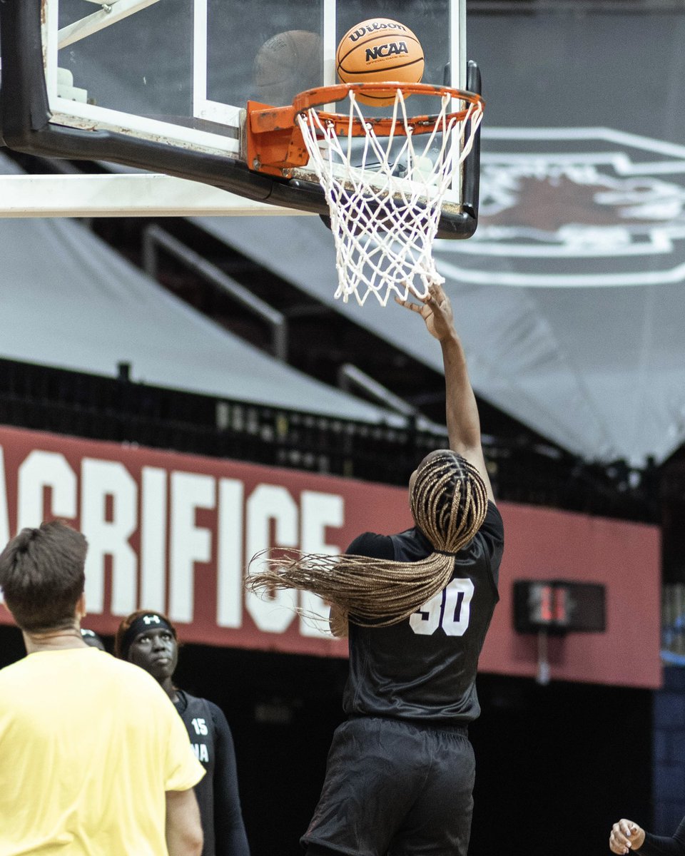 South Carolina Women's Basketball tweet media