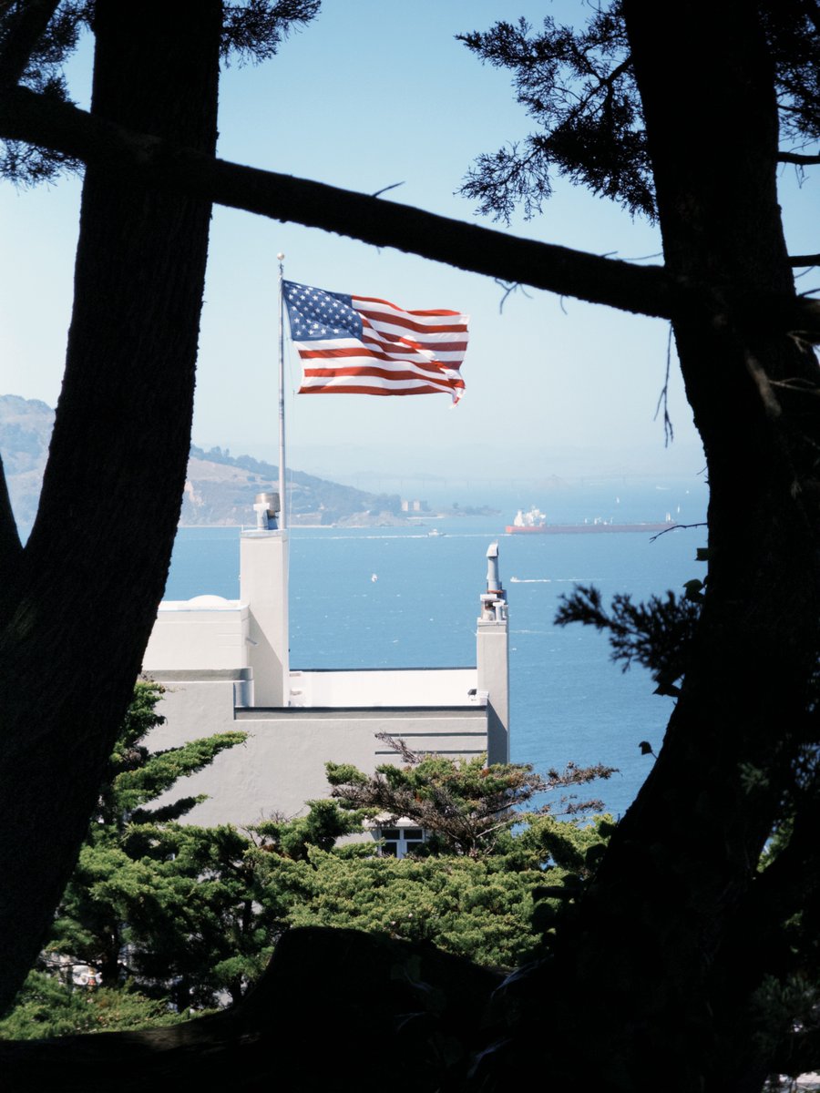 ari dutilh tweet media