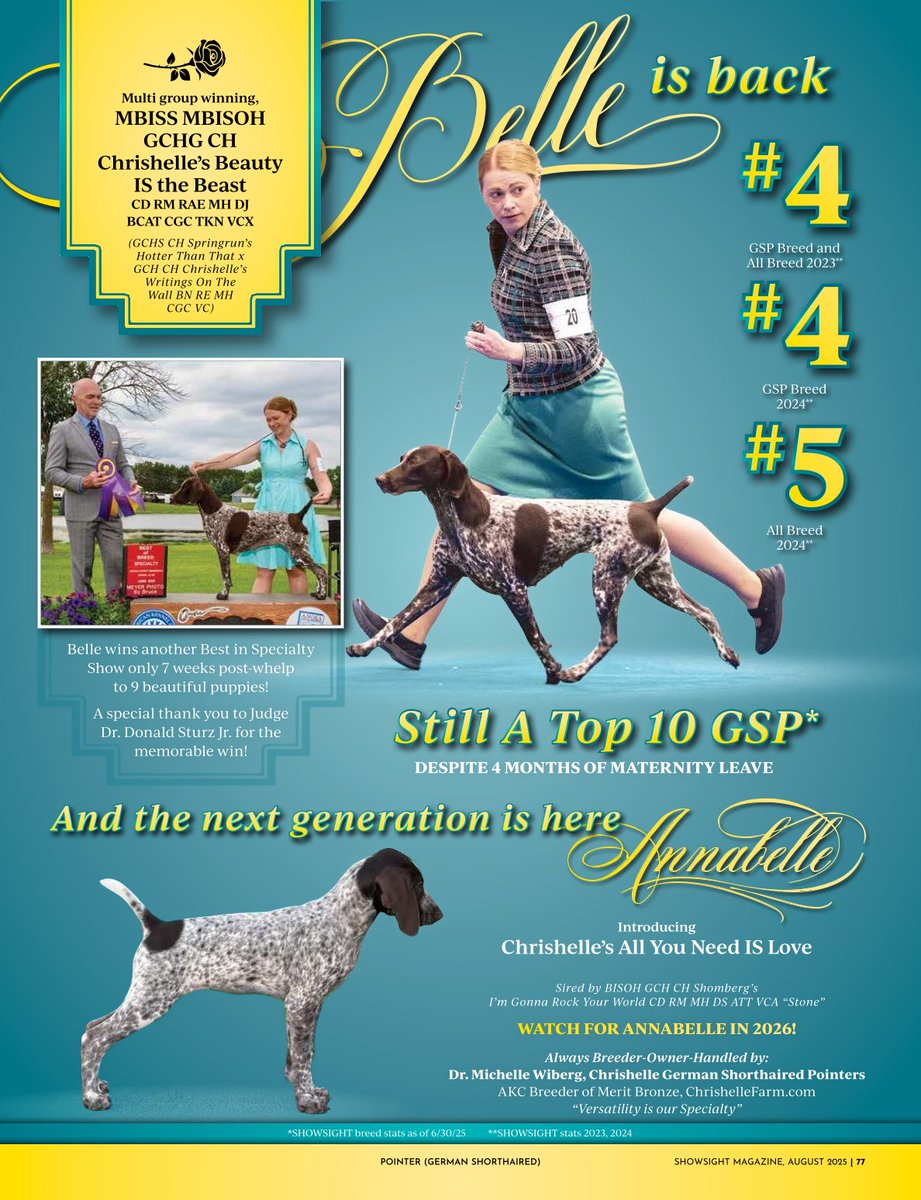 Showsight's tweet image. Multi group winning, MBISS MBISOH GCHG CH Chrishelle’s Beauty IS the Beast CD RM RAE MH DJ BCAT CGC TKN VCX

Belle 💛

Always Breeder-Owner-Handled by:
Dr. Michelle Wiberg, Chrishelle German Shorthaired Pointers

showsightmagazine.com/dog-breeds/ger…

#GermanShorthairedPointer #showsightmag