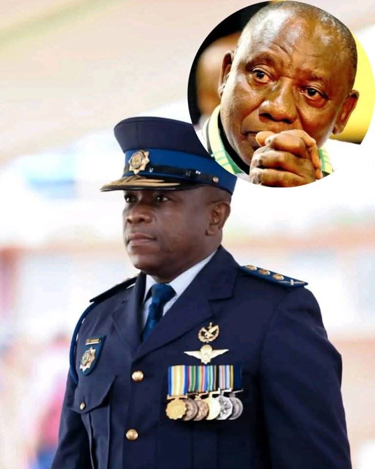 Simphiwe tweet media