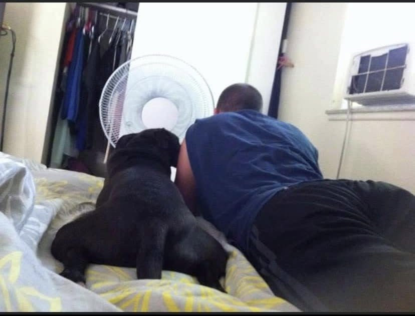 Laying in this bed
Thinking of you
The way you always insisted I get up 
To be with you 
Heart strings broken 
strumming a sad song
I try to find ways to live 
To #reinvigorate my thinking 
So I will not be so sad when I think
Of losing you 
 #vss365