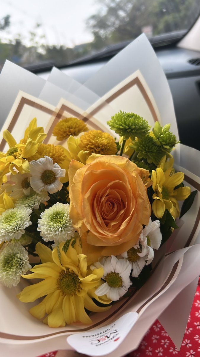 Los dos estaban caminando en el mismo sentido 💛🌼💐