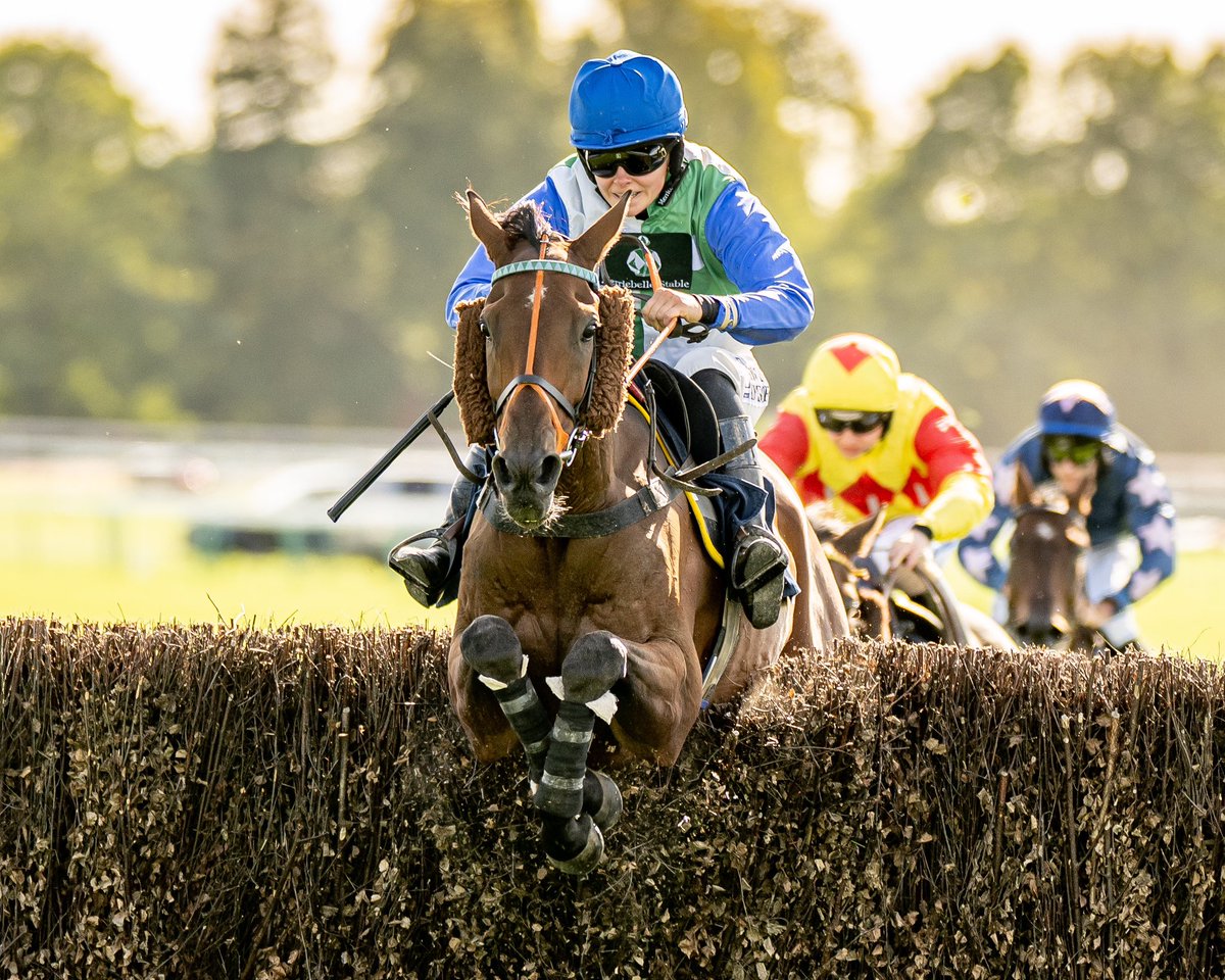 Race 2 - <a href="/betgoodwinuk/">BetGoodwin</a>  Lightning Withdrawals Handicap Chase (Fontwell Chase Series Qualifier) (GBB Race)

🏆 Midnight Jewel 

Jockey: Lilly Pinchin 
Trainer: <a href="/CharlieLongsdon/">Charlie Longsdon</a> 
Owner: Mrs G E Morgan